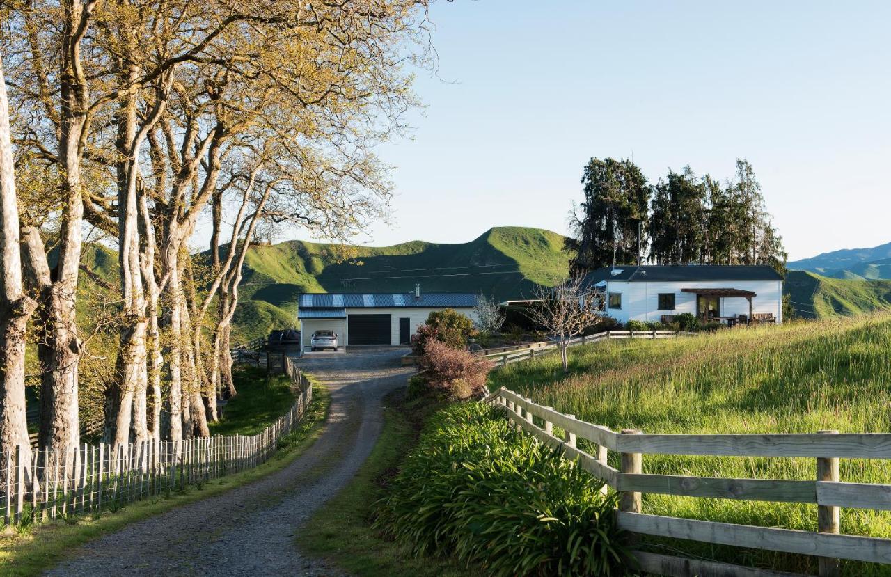 Hopwood Bed & Breakfast 泰哈皮 外观 照片